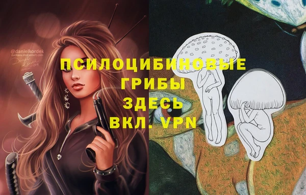 спиды Абдулино